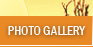 Photo Gallery